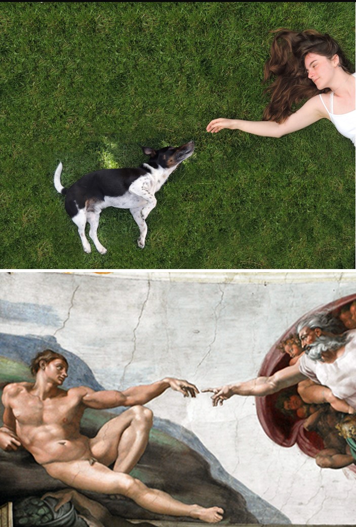 Ciara’s Sistine Chapel ceiling, featuring a very good boy. In the original fresco, the touching hands symbolise man being created in the image and likeness of God. 