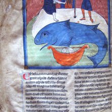 Whale from 13th century French bestiary